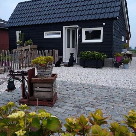 Wellness Chalet Met Jacuzzi, Sauna, Omheinde Tuin, Sint-Annaland Exterior foto