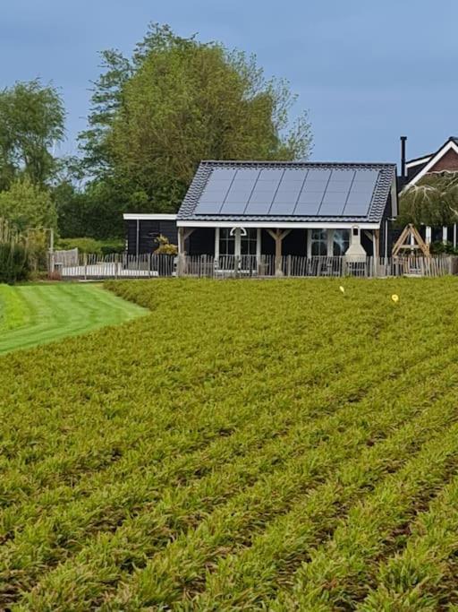 Wellness Chalet Met Jacuzzi, Sauna, Omheinde Tuin, Sint-Annaland Exterior foto